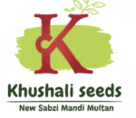 gemini generated image x9yk9ox9yk9ox9yk